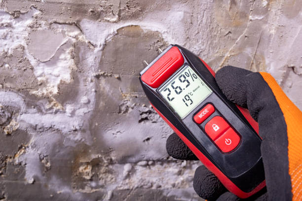 Best Post-Flood Mold Remediation in Hampton, SC