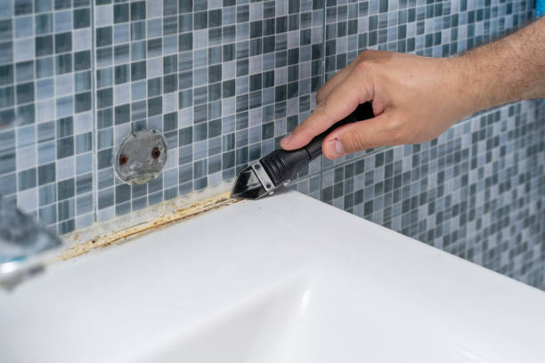 Best Commercial Mold Remediation in Hampton, SC